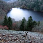 Lac des Perches